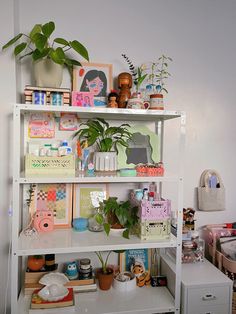 a white shelf filled with lots of plants and pictures on top of it's sides