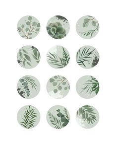 six plates with different plants and leaves on them, all painted in shades of green