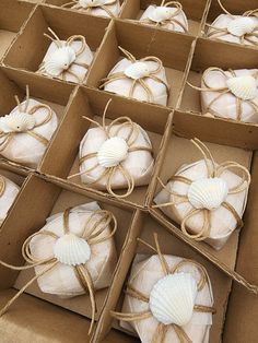 several seashells are wrapped in twine and tied together