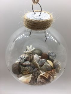 a glass ornament filled with sea shells on top of a string and rope