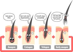 Waxing Legs, Hair Education, How To Grow Eyelashes, Lash Growth, Home Remedies For Hair, Grow Hair Faster, Eyelash Growth, Head Massage