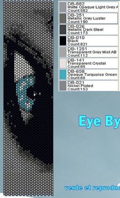 an image of the eye by numbers in pixell style, with text below it