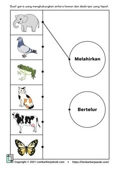 an animal chart with different animals and their names in the diagram, which is also labeled