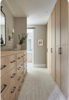 an empty hallway leading to a bedroom with large wooden cabinets and white carpeted flooring