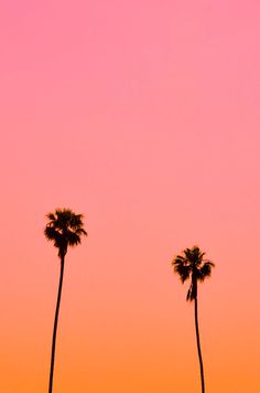 two palm trees are silhouetted against an orange and pink sky