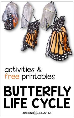 the book cover for butterflies and free printables butterfly life cycle, with three bags attached