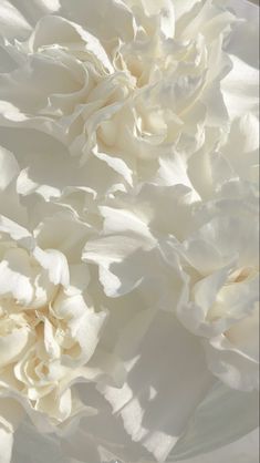 white flowers are in a glass vase on the table