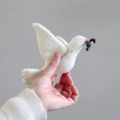 a person holding a small white bird in their hand