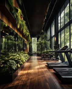 an indoor gym with wooden flooring and plants growing on the side of the wall