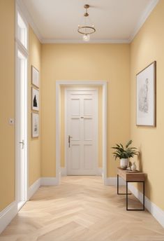 an empty hallway with yellow walls and white trim on the door, potted plant next to it