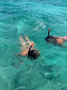 A picture of two girls snorkeling in Indonesia Snorkling Mexico, Hawaii Snorkeling, Palawan Island, Grand Cayman Island, Cayman Island, Cabo Mexico, Mermaid Life, Grand Cayman, Global Travel