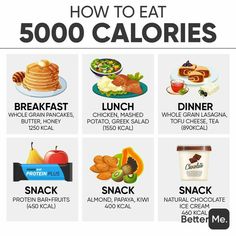 Meals For Calorie Surplus, Need To Gain Weight Tips, Diet Meal Plan To Gain Muscle, 3000 Calorie Meals, Snacks To Gain Weight Tips, I Want To Gain Weight Healthy, Diet For Gym Beginners, Gaining Weight For Men Food, Calories Food To Gain Weight Meals