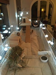 an indoor cat house with lights on the ceiling and some hay in front of it