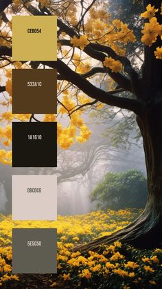 Colors:
CEB054 ° 533A1C ° 1A1610 ° DBCDC6 ° 5E5C50 Beach Body Challenge, Yellow Blossom, Hex Color Palette, Yellow Tree, Color Collage, Large Tree, Model Paint, Color Palette Design, The Mist