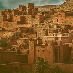 an old city in the desert surrounded by palm trees