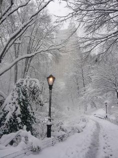 Christmas Dog Decor, Zero Degrees, Luxury Photography, Nyc Manhattan, Winter Scenery