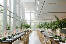 the long tables are set up with greenery