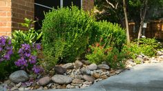 a garden with rocks and flowers next to a building