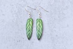 Add some foliage to your look with these unique Calathea Bachemiana Plant Earrings from Cleveland! Each handmade leaf is crafted from paper and resin, then hung from hypoallergenic sterling silver hooks. They'll make any plant lover green with envy! Put a nature-loving twist on your outfit with these realistic and stylish earrings. Botanical Green Drop Earrings, Green Botanical Drop Earrings, Handmade Leaf-shaped Botanical Earrings, Handmade Botanical Leaf Earrings, Botanical Leaf-shaped Earrings With Ear Wire, Stylish Earring, Leaf Earrings, Cleveland, Earrings Handmade