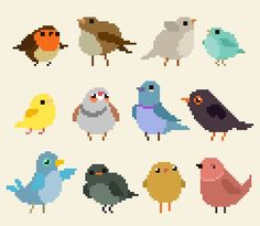 pixelated birds in different colors and sizes