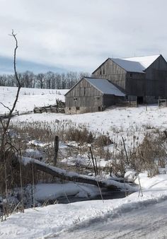 Peter Batchelder, Farm Scene Painting, Watercolor Barns, Landscapes Paintings, Barn Pictures, Winter Landscapes, Country Barns, Barn Painting