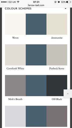 the different shades of gray and white are highlighted in this color palettes page, which includes