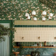 a kitchen with green walls and floral wallpaper on the ceiling, along with potted plants