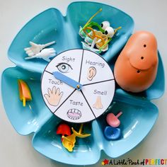 a blue plate with some toys on it and the words working on 5 sense? kids will love this see more