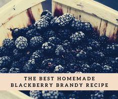 the best homemade blackberry brandy recipe is made with fresh blackberries in a wooden crate