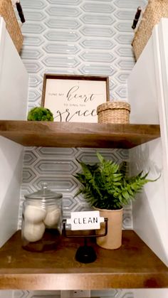 some shelves with plants and jars on them