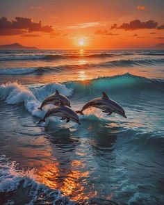 two dolphins jumping out of the water at sunset with waves crashing in front of them