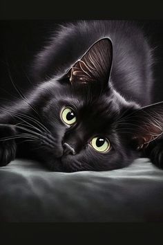 a black cat laying on top of a bed next to a white blanket and green eyes