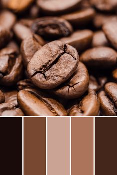 coffee beans with different colors in the background