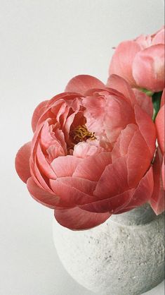 some pink flowers are in a white vase on a gray table top and the background is white