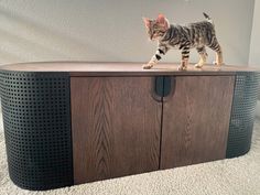 a cat standing on top of a wooden cabinet with black and white dots around it