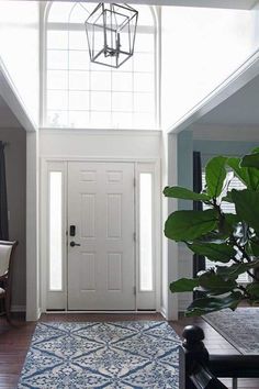 an entryway with a blue and white rug on the floor, potted plant next to it