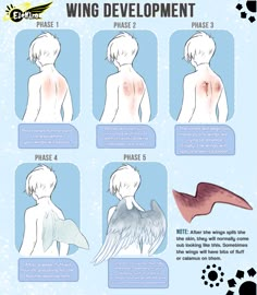 the stages of wing development in an anime character's body, with instructions on how to