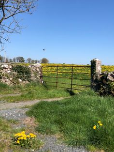 a stone wall and gate in the middle of a field with flowers growing on it