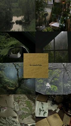 a collage of photos with an umbrella, books and other things in it that include plants