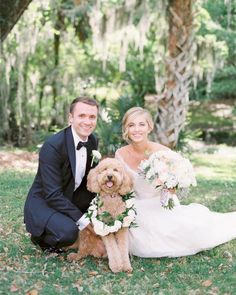 a bride and groom pose with their dog