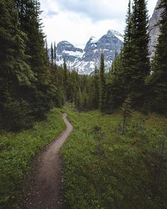 a trail in the middle of a forest with mountains in the background and trees on both sides