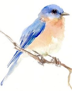 a watercolor painting of a blue bird sitting on a branch