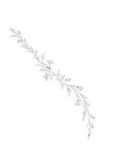 a black and white drawing of a branch with flowers on the end, in front of a plain background