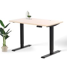 an office desk with a potted plant next to it on a stand up leg