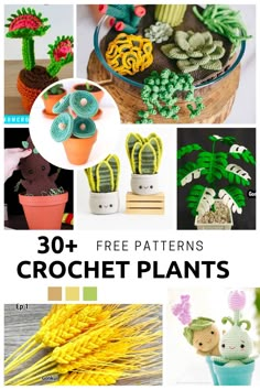 some crochet plants are shown with the words, 30 + free patterns for croche