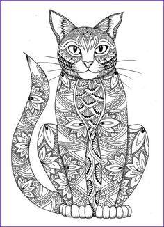 a cat with intricate patterns on it's body sitting in front of a white background