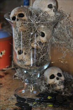 three skulls in a glass vase on a counter