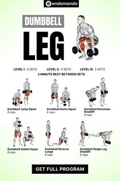 the dumbbell leg workout poster shows how to do it with dumbbell squats