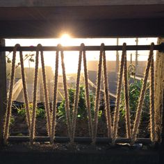 the sun is setting behind a fence with some plants growing in it and hanging from ropes