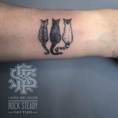 three cats tattoo on the arm